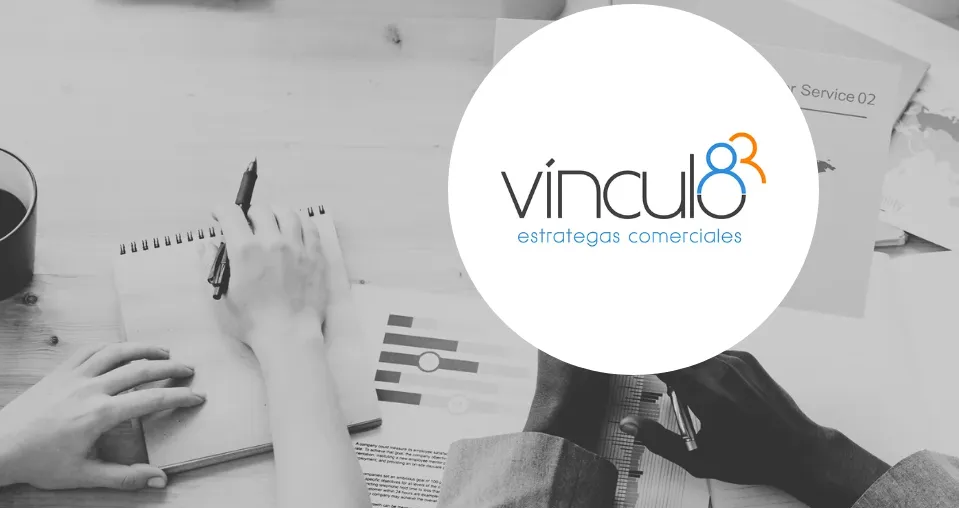 Vínculo - Blog