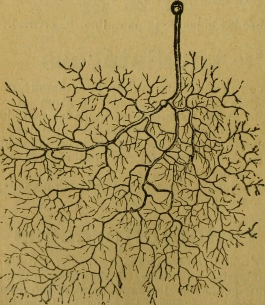 Reclutamiento - Blog - Crecimiento conectado para encontrar el talento ideal.